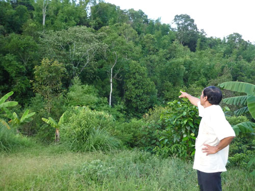 Kiện toàn Ban chỉ đạo giao rừng, cho thuê rừng tỉnh Kon Tum giai đoạn 2009-2013