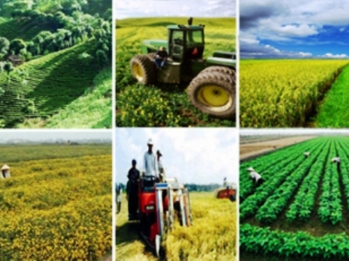 Chính sách khuyến khích doanh nghiệp đầu tư vào nông nghiệp, nông thôn.