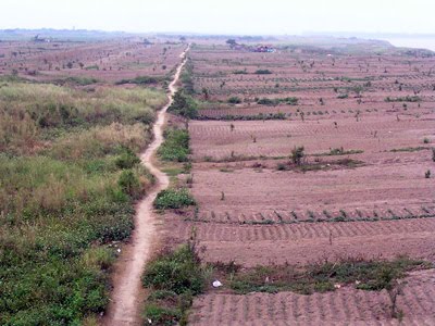 HĐND tỉnh thông qua Quy hoạch sử dụng đất đến năm 2020 tỉnh Kon Tum
