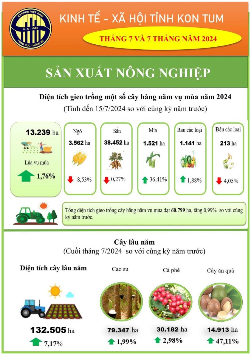 Tình hình kinh tế - xã hội tháng 7 và 7 tháng đầu năm 2024 trên địa bàn tỉnh